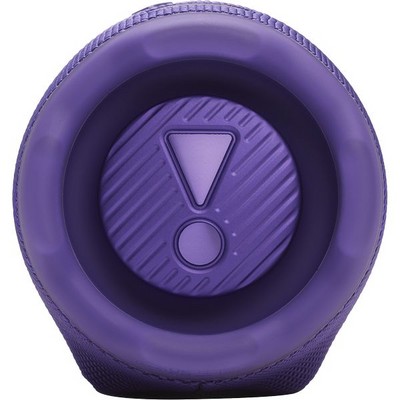 Портативная акустика JBL Charge 6 Purple - фото 48769