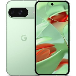 Смартфон Google Pixel 9 12/128 Гб, Dual: nano SIM + eSIM Wintergreen