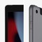 Планшет Apple iPad (2021) 256Gb Wi-Fi + Cellular, серый космос - фото 21681