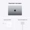 Ноутбук Apple MacBook Pro 14 Late 2021 (Apple M1 Pro, 16Gb, 1Tb SSD) MKGQ3RU, серый космос - фото 24123
