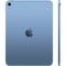 Планшет Apple iPad 11” (2025) 128 ГБ Wi-Fi + Cellular, синий - фото 47319