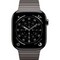 Умные часы Apple Watch Series 11, 46 mm, Slate Titanium Link Bracelet - фото 52120