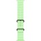 Умные часы Apple Watch Ultra 3, 49 mm, Black Ocean Band Neon Green - фото 52316