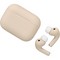 Беспроводные наушники Apple AirPods Pro 3 Custom Desert - фото 54425
