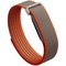 Фитнес-браслет Google Fitbit Air Rye by Stephen Curry - фото 59991