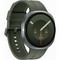 Умные часы Samsung Galaxy Watch9 LTE 44mm Silver - фото 60150