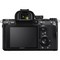 Фотоаппарат Sony Alpha A7 III Body Black - фото 62493